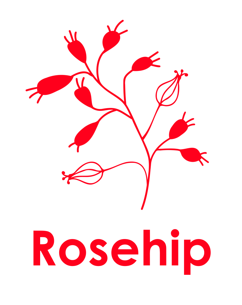 Christ the sower year 4 rosehip